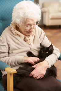 Pets for Seniors